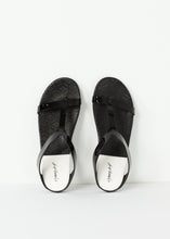 Zepella Sandal - gstuffpro.com